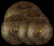 image-asset.png
