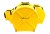 hardcase yellow3.jpg