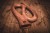 MEINL-Sonic-Energy-S-shaped-Pro-Didgeridoo-Tuning-D-DDPROFSD_4ebfa7c.jpg