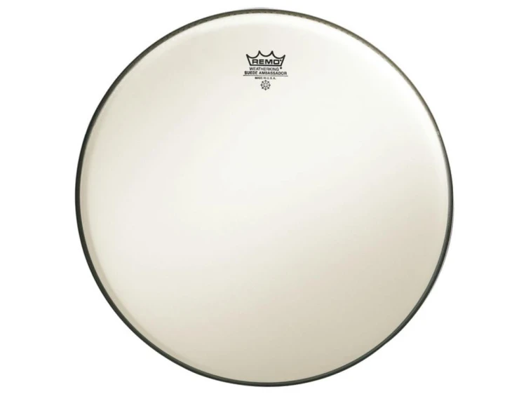 remo-br-1820-00-ambassador-suede-bass-20.jpg