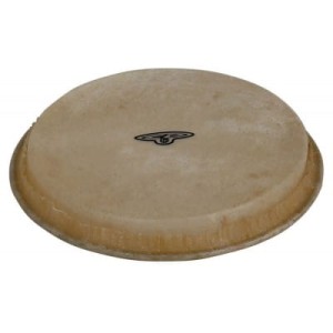 LP CP221A Bongo Head 6,5"