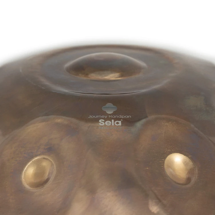 SE-218-05.jpg
