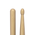 tx5bw_detail3_transparent.png