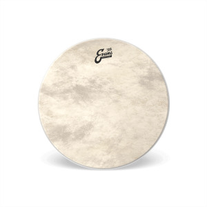 EVANS Calftone Bass 18"
