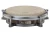 travel conga 11.webp