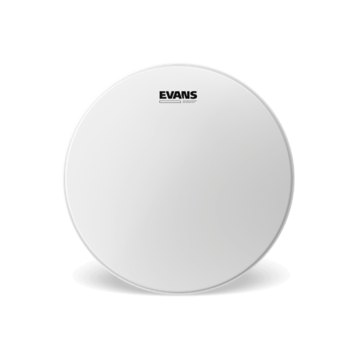 EVANS REVERSE (1).png