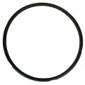 Rim 2.webp