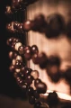 SPCH 8_11zon.webp