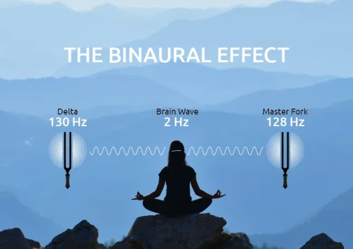 MEINL-Sonic-Energy-Binaural-Therapy-Tuning-Fork-Delta-130-Hz-TTF-DELTA_171ce43_11zon.webp