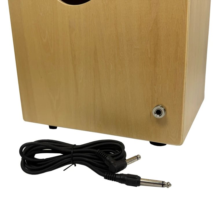 CT-4PA-P (9).webp
