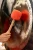 MGM-M-ST (3).webp
