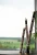 3ec35c6a-e667-4845-a6f3-27dd59f95def_11zon.webp