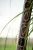 RS1S 3_11zon.webp
