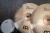 MEINL Cymbals Byzance Brilliant Polyphonic Ride - 22 7_11zon.webp