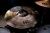 MEINL Pure Alloy Super Bell