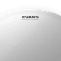 evans-genera-coated-14