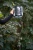 mienl_sonic_energy_thunder_drum_deep_sound_large