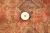 meinl_djembe_nile_series_5_11zon.webp