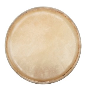 CLUB SALSA F847250 Conga Drumhead 10"