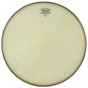 REMO Renaissance Ambassador Snare Side 14"