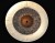 AMEDIA Tigris Splash 12"